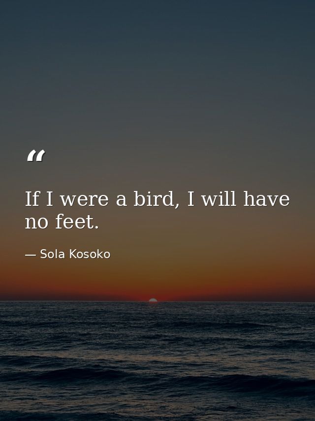 If I were a bird, I will have no feet. — Sola Kosoko