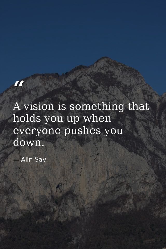 A vision is something that holds you up when everyone pushes you down. — Alin Sav