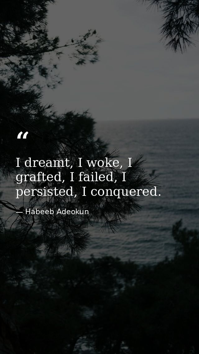 I dreamt, I woke, I grafted, I failed, I persisted, I conquered. — Habeeb Adeokun