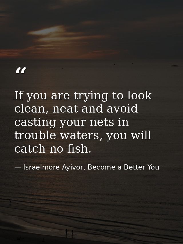 If you are trying to look clean, neat and avoid casting your nets in trouble waters, you will catch no fish. — Israelmore Ayivor, Become a Better You