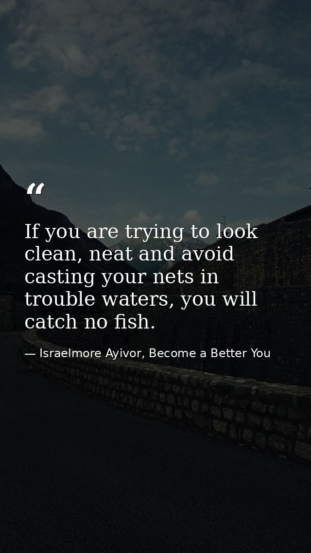 If you are trying to look clean, neat and avoid casting your nets in trouble waters, you will catch no fish. — Israelmore Ayivor, Become a Better You