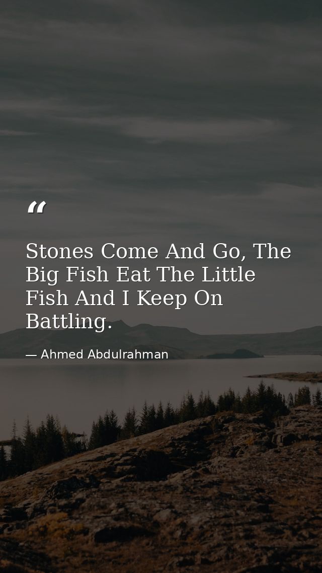 Stones Come And Go, The Big Fish Eat The Little Fish And I Keep On Battling. — Ahmed Abdulrahman