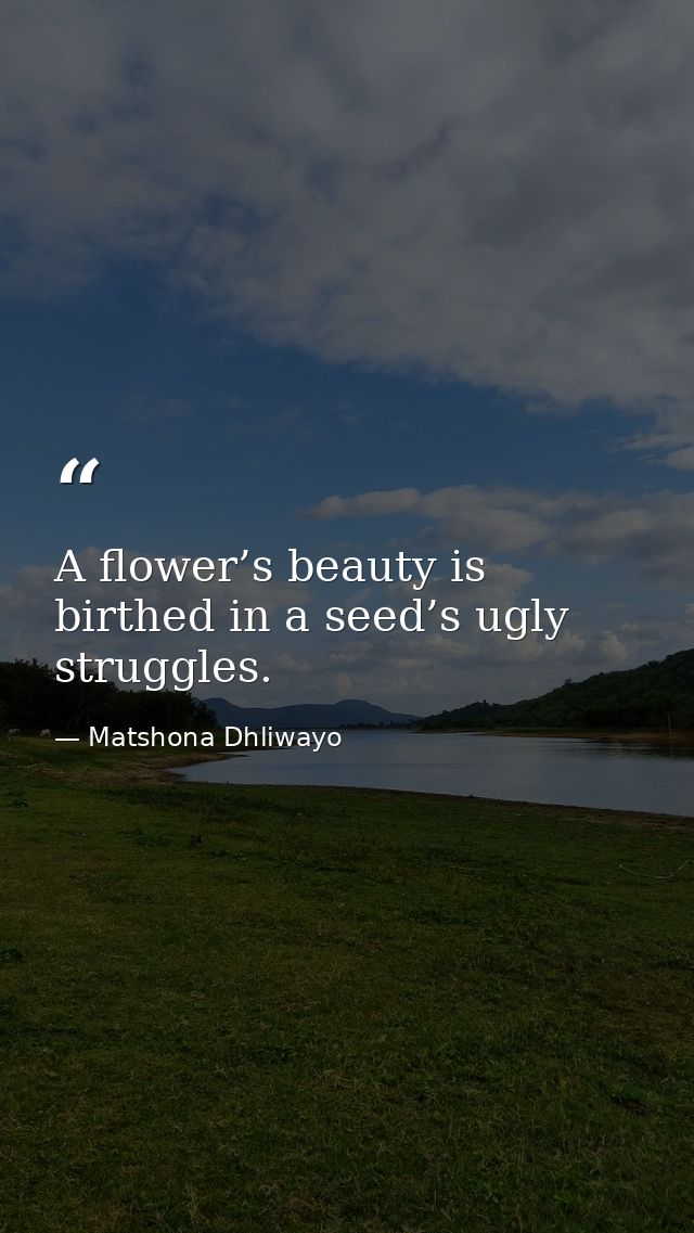 A flower’s beauty is birthed in a seed’s ugly struggles. — Matshona Dhliwayo