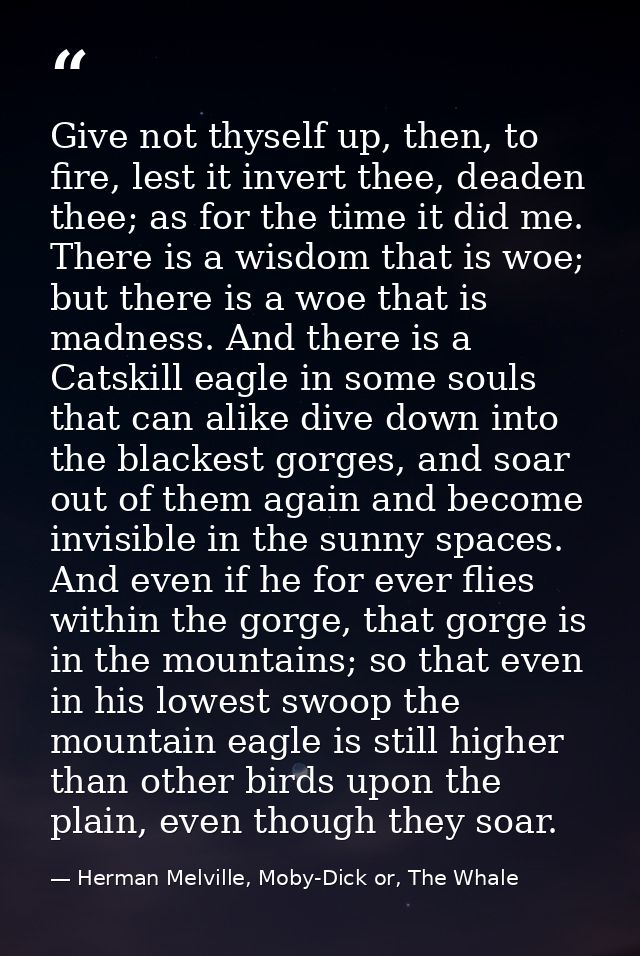 Give not thyself up, then, to fire, lest it invert thee, deaden thee; as for the time it did me. There is a wisdom that  — Herman Melville, Moby-Dick or, The Whale