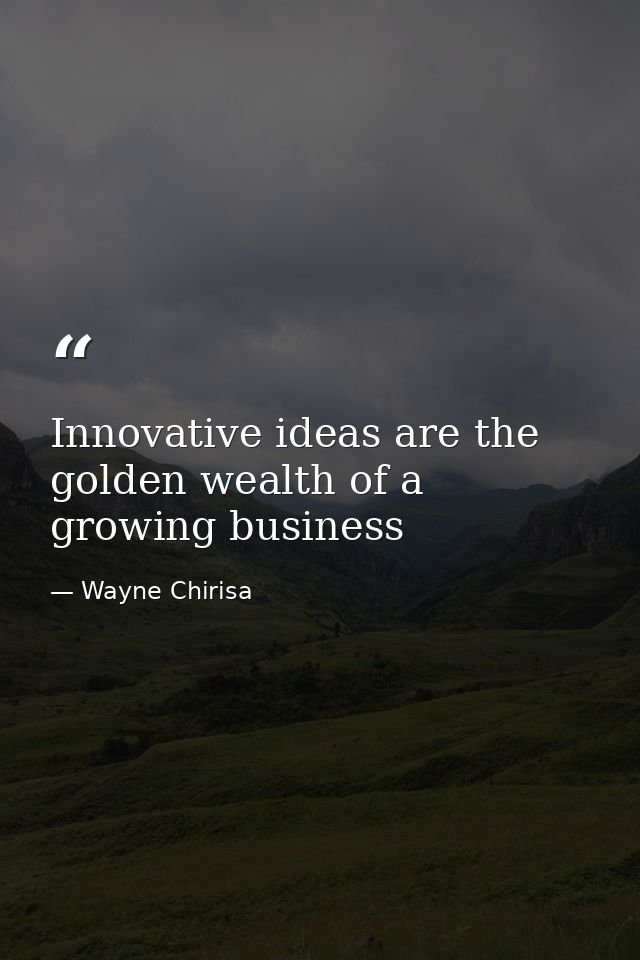Innovative ideas are the golden wealth of a growing business — Wayne Chirisa