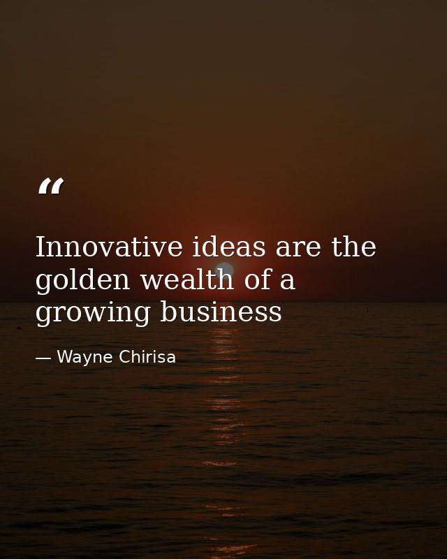 Innovative ideas are the golden wealth of a growing business — Wayne Chirisa