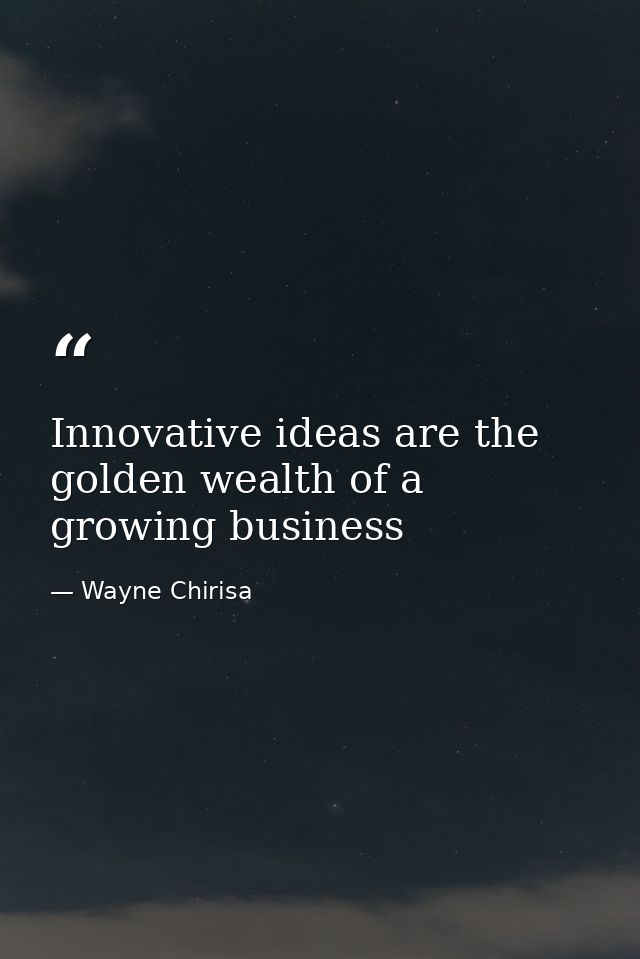 Innovative ideas are the golden wealth of a growing business — Wayne Chirisa