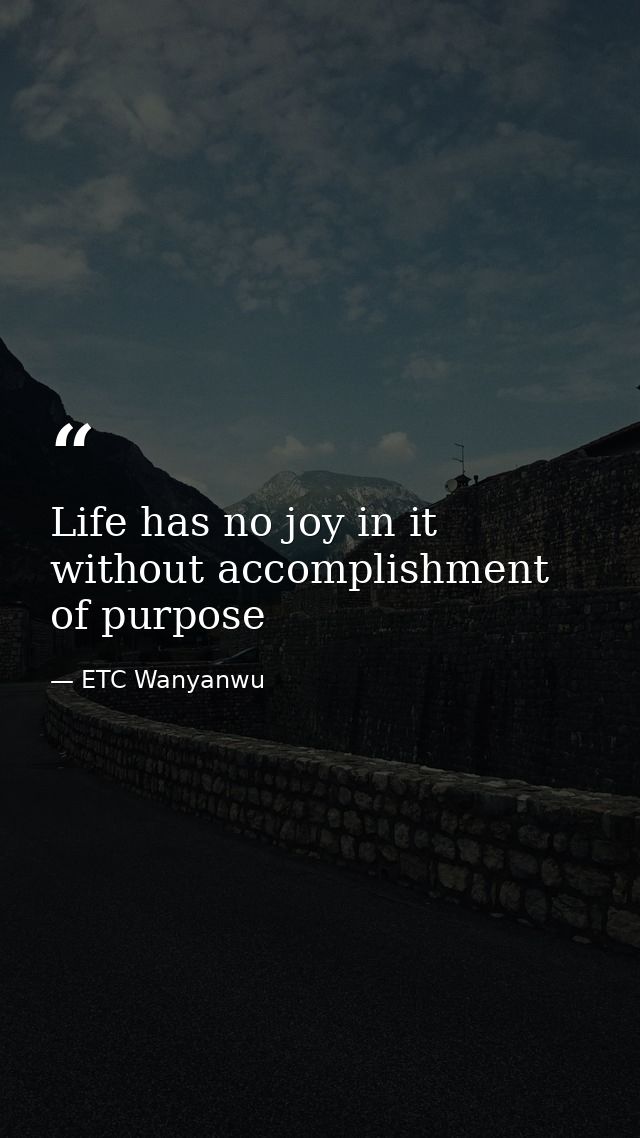 Life has no joy in it without accomplishment of purpose — ETC Wanyanwu