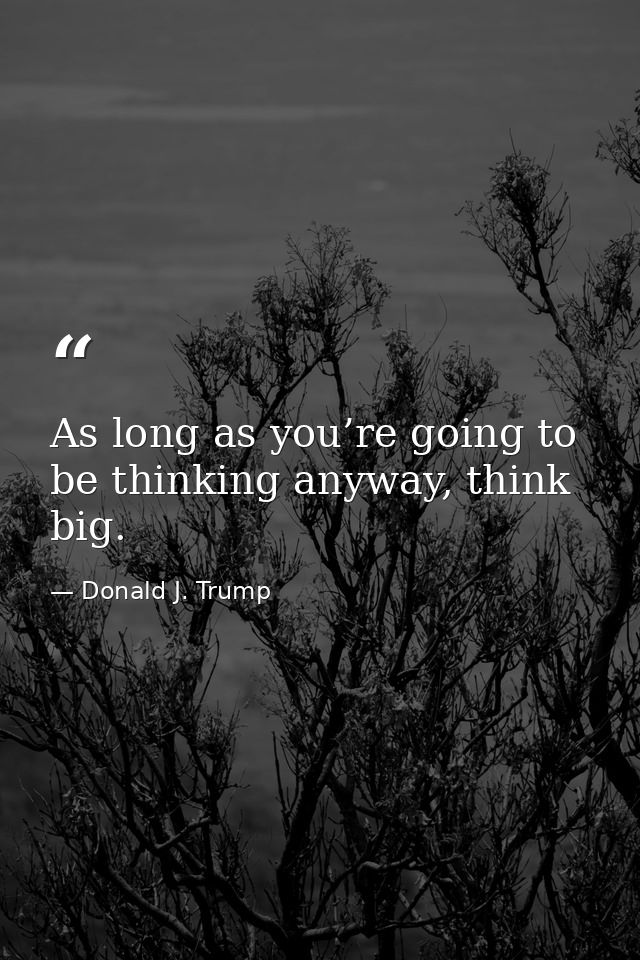 As long as you’re going to be thinking anyway, think big. — Donald J. Trump