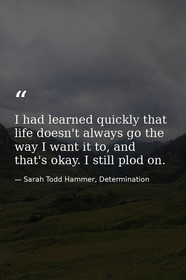 I had learned quickly that life doesn't always go the way I want it to, and that's okay. I still plod on. — Sarah Todd Hammer, Determination