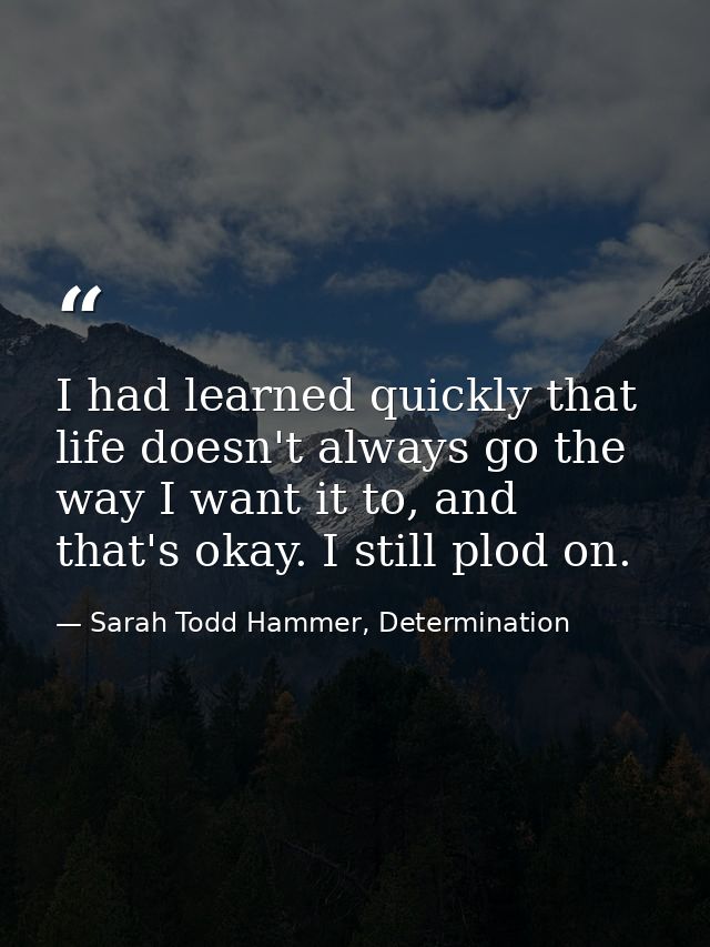 I had learned quickly that life doesn't always go the way I want it to, and that's okay. I still plod on. — Sarah Todd Hammer, Determination