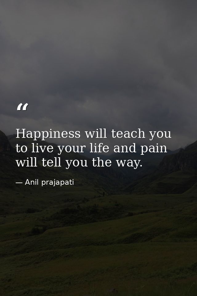 Happiness will teach you to live your life and pain will tell you the way. — Anil prajapati