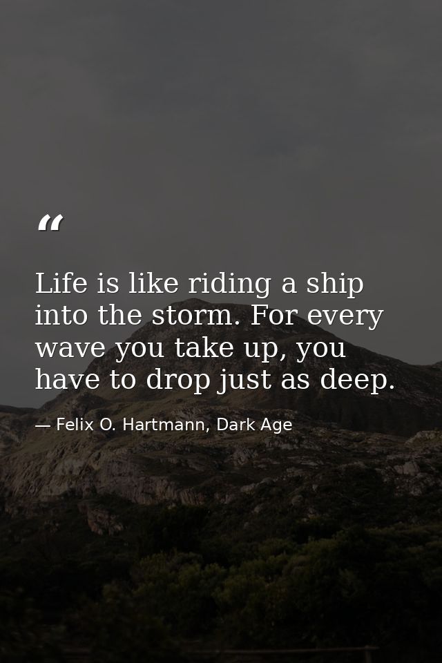 Life is like riding a ship into the storm. For every wave you take up, you have to drop just as deep. — Felix O. Hartmann, Dark Age