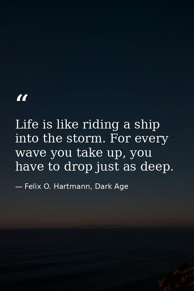 Life is like riding a ship into the storm. For every wave you take up, you have to drop just as deep. — Felix O. Hartmann, Dark Age