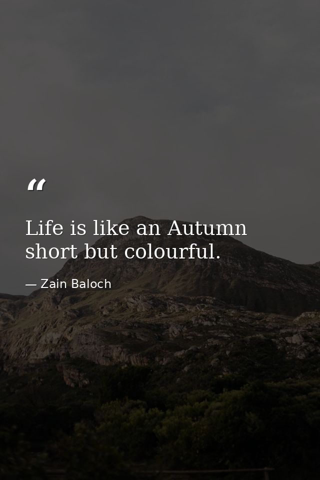 Life is like an Autumn short but colourful. — Zain Baloch