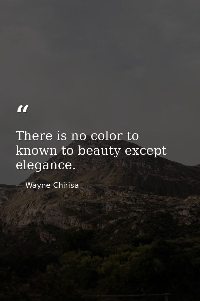 There is no color to known to beauty except elegance. — Wayne Chirisa