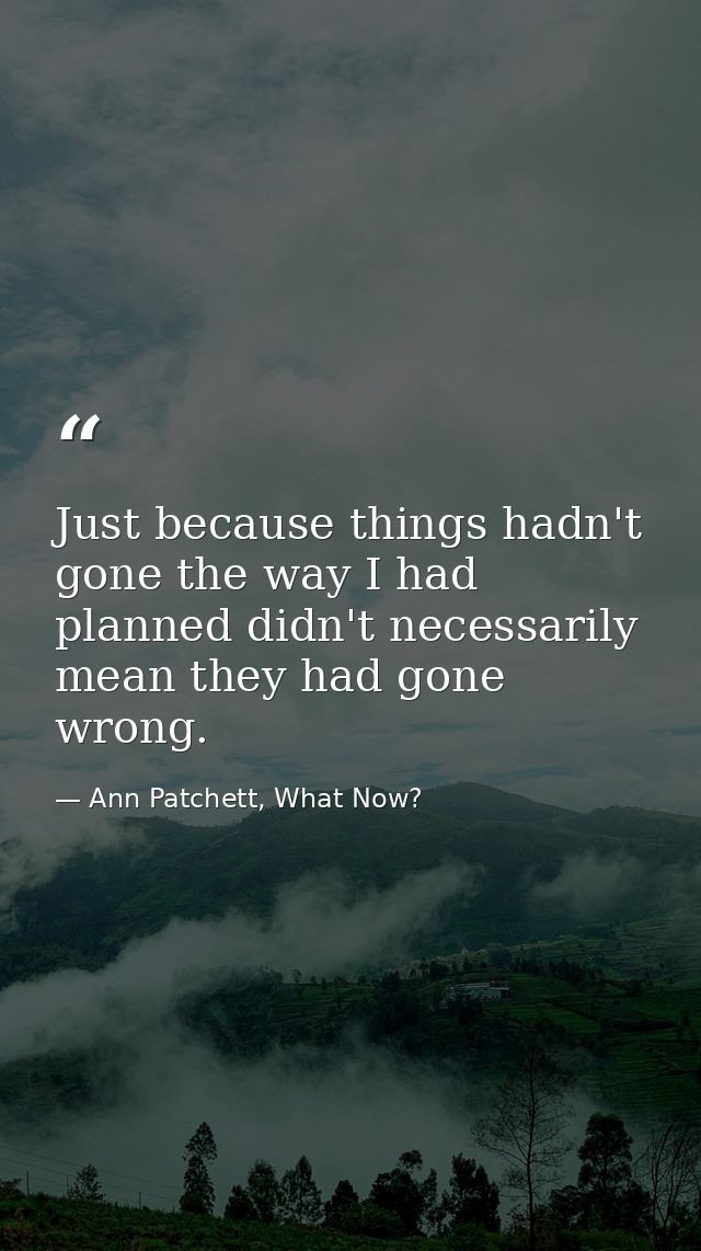 Just because things hadn't gone the way I had planned didn't necessarily mean they had gone wrong. — Ann Patchett, What Now?