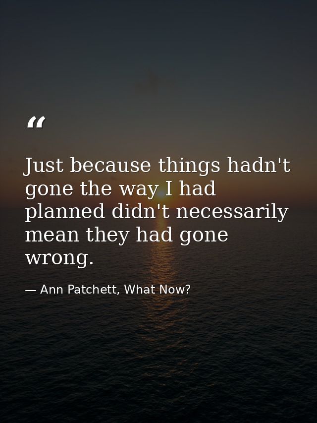 Just because things hadn't gone the way I had planned didn't necessarily mean they had gone wrong. — Ann Patchett, What Now?