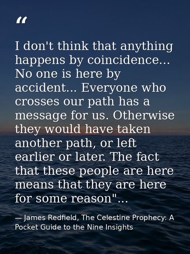 I don't think that anything happens by coincidence... No one is here by accident... Everyone who crosses our path has a  — James Redfield, The Celestine Prophecy: A Pocket Guide to the Nine Insights