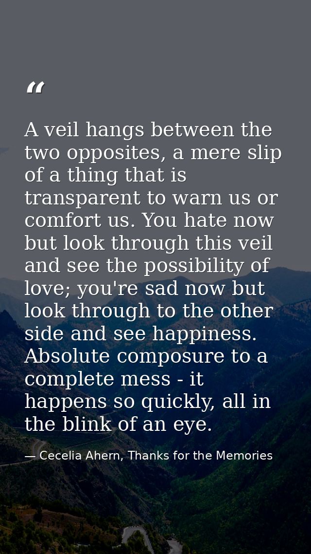 A veil hangs between the two opposites, a mere slip of a thing that is transparent to warn us or comfort us. You hate no — Cecelia Ahern, Thanks for the Memories