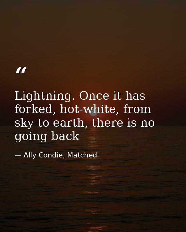 Lightning. Once it has forked, hot-white, from sky to earth, there is no going back — Ally Condie, Matched