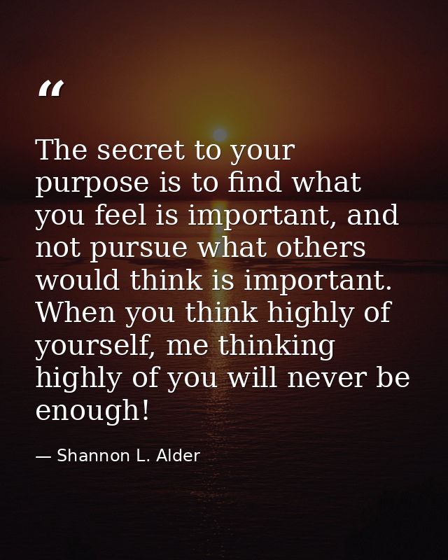 The secret to your purpose is to find what you feel is important, and not pursue what others would think is important. W — Shannon L. Alder