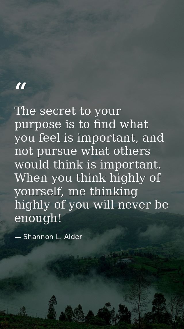 The secret to your purpose is to find what you feel is important, and not pursue what others would think is important. W — Shannon L. Alder