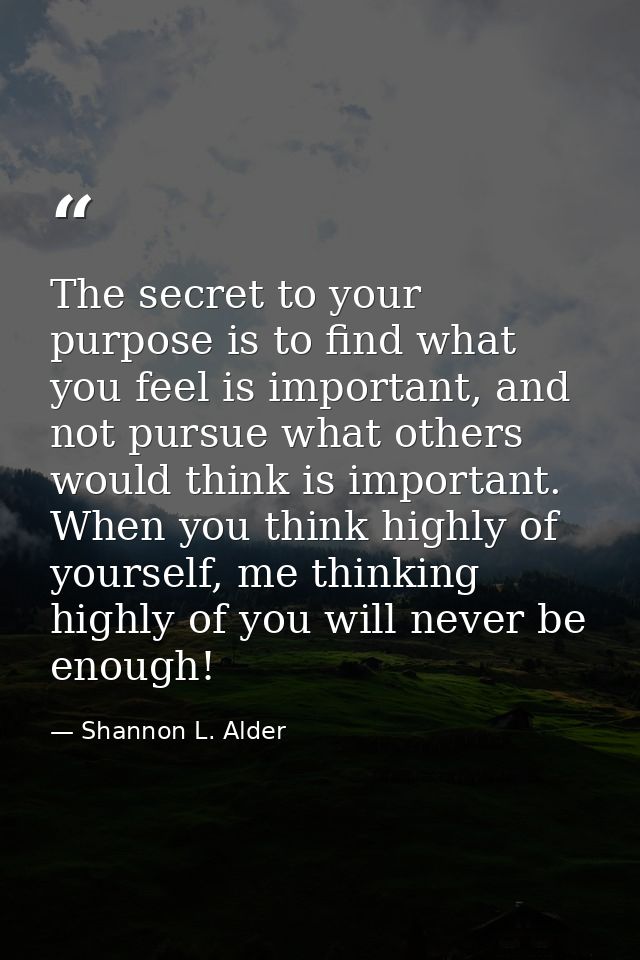 The secret to your purpose is to find what you feel is important, and not pursue what others would think is important. W — Shannon L. Alder