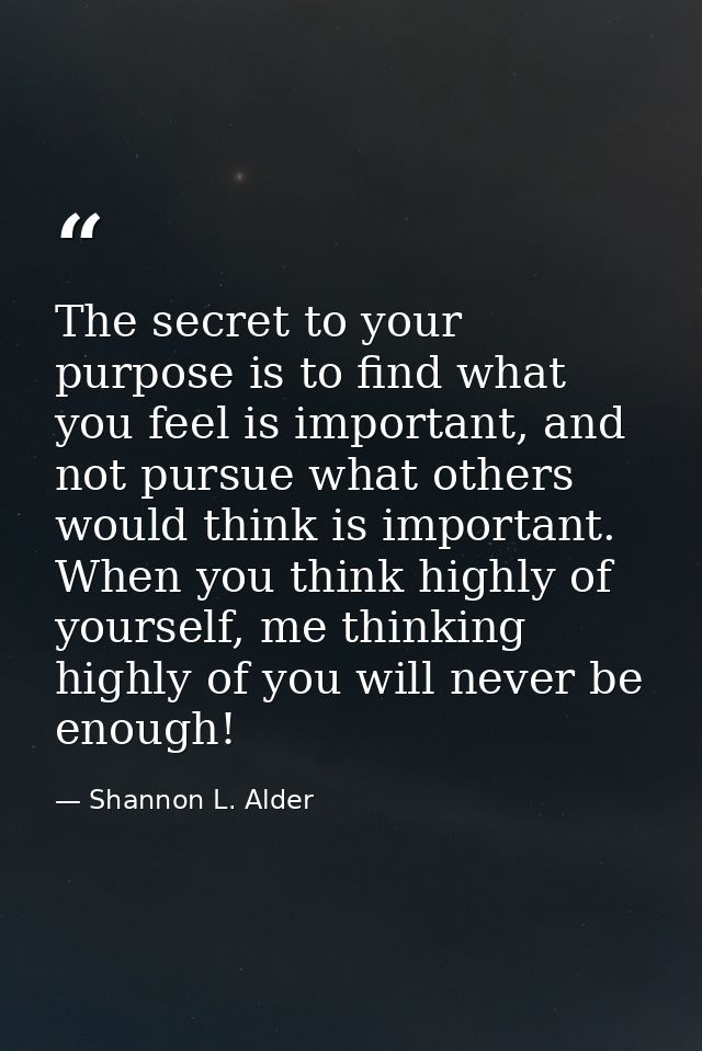 The secret to your purpose is to find what you feel is important, and not pursue what others would think is important. W — Shannon L. Alder