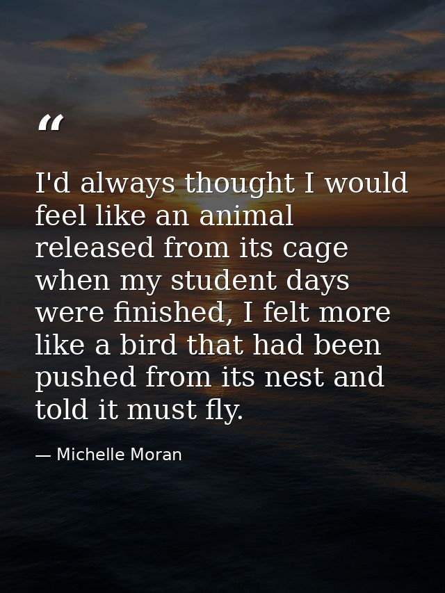 I'd always thought I would feel like an animal released from its cage when my student days were finished, I felt more li — Michelle Moran