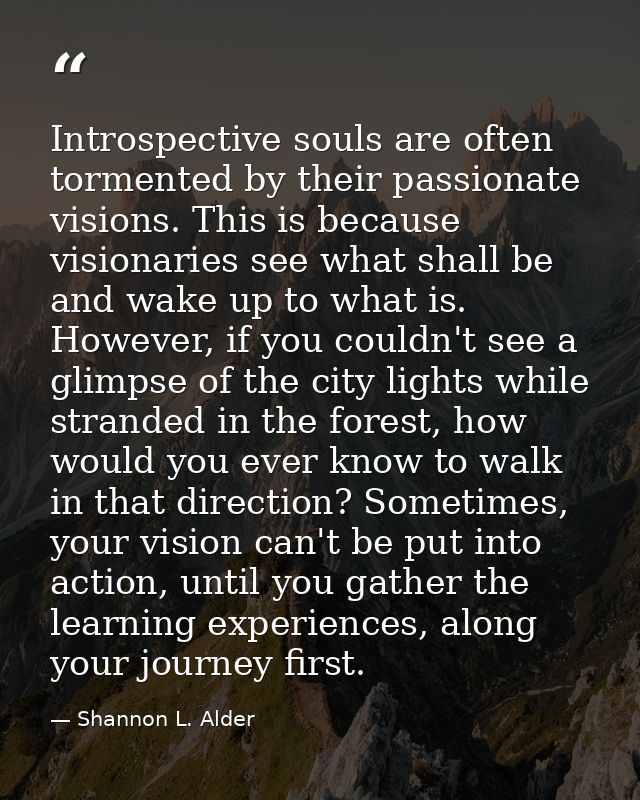 Introspective souls are often tormented by their passionate visions. This is because visionaries see what shall be and w — Shannon L. Alder