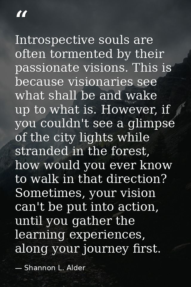Introspective souls are often tormented by their passionate visions. This is because visionaries see what shall be and w — Shannon L. Alder