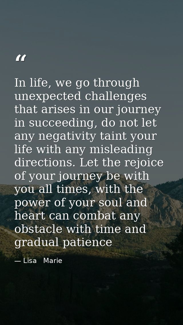 In life, we go through unexpected challenges that arises in our journey in succeeding, do not let any negativity taint y — Lisa   Marie