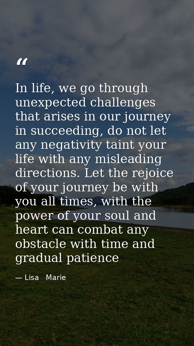 In life, we go through unexpected challenges that arises in our journey in succeeding, do not let any negativity taint y — Lisa   Marie