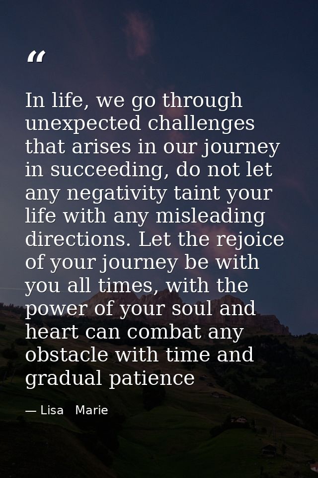 In life, we go through unexpected challenges that arises in our journey in succeeding, do not let any negativity taint y — Lisa   Marie