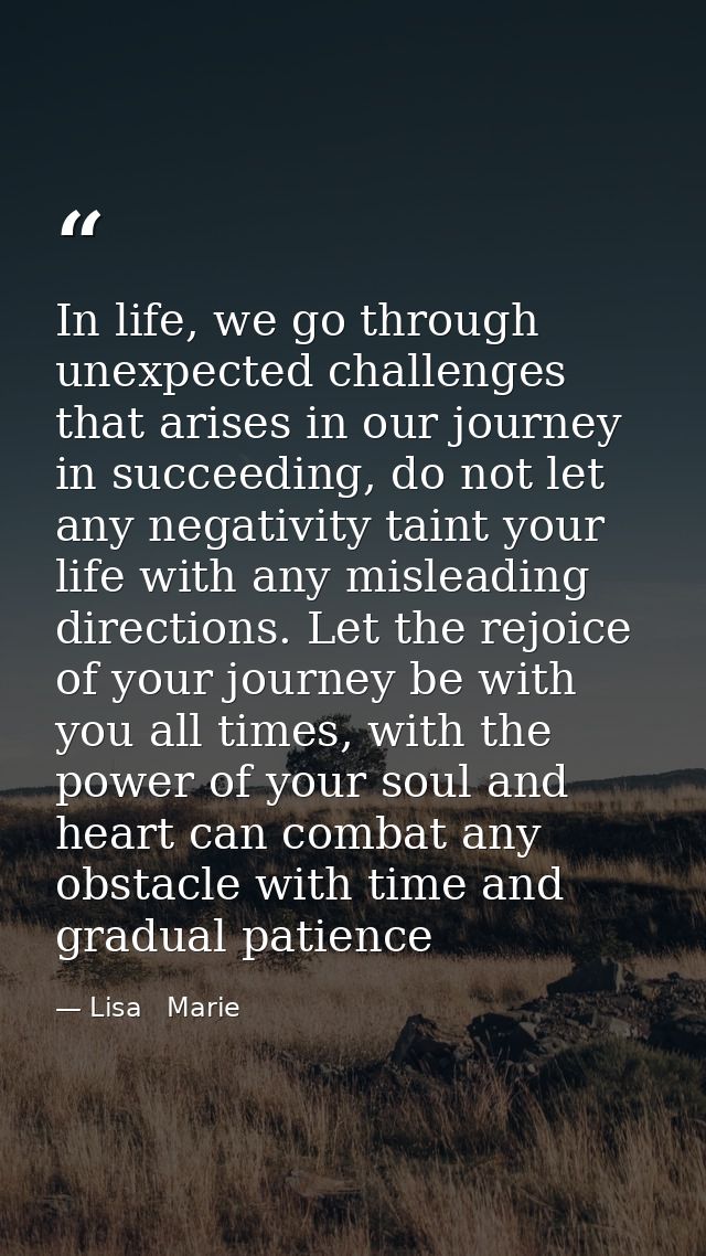 In life, we go through unexpected challenges that arises in our journey in succeeding, do not let any negativity taint y — Lisa   Marie