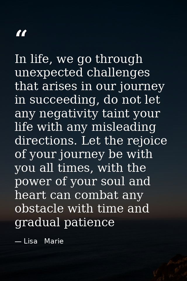 In life, we go through unexpected challenges that arises in our journey in succeeding, do not let any negativity taint y — Lisa   Marie