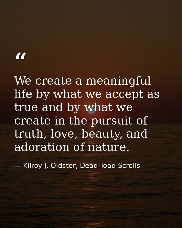 We create a meaningful life by what we accept as true and by what we create in the pursuit of truth, love, beauty, and a — Kilroy J. Oldster, Dead Toad Scrolls