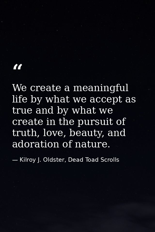 We create a meaningful life by what we accept as true and by what we create in the pursuit of truth, love, beauty, and a — Kilroy J. Oldster, Dead Toad Scrolls