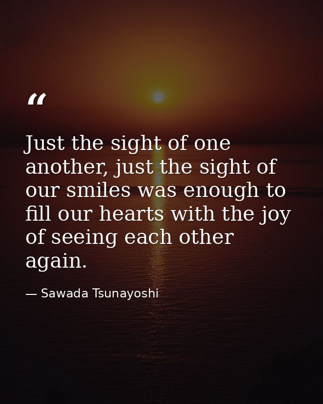 Just the sight of one another, just the sight of our smiles was enough to fill our hearts with the joy of seeing each ot — Sawada Tsunayoshi