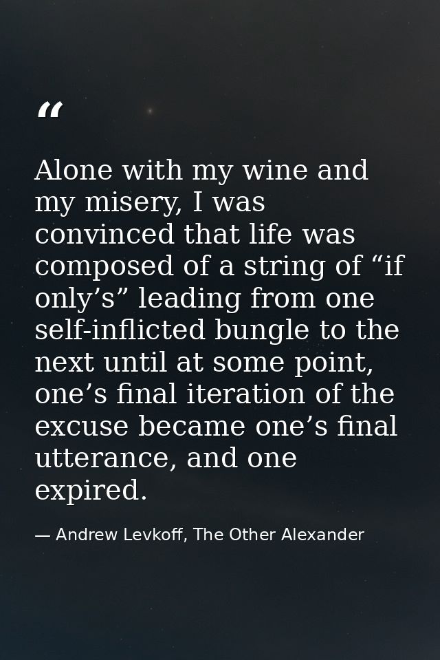 Alone with my wine and my misery, I was convinced that life was composed of a string of “if only’s” leading from one sel — Andrew Levkoff, The Other Alexander