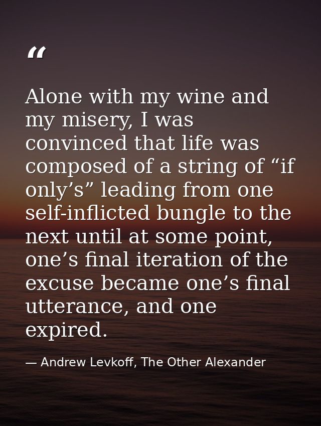 Alone with my wine and my misery, I was convinced that life was composed of a string of “if only’s” leading from one sel — Andrew Levkoff, The Other Alexander