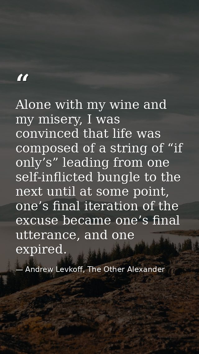Alone with my wine and my misery, I was convinced that life was composed of a string of “if only’s” leading from one sel — Andrew Levkoff, The Other Alexander
