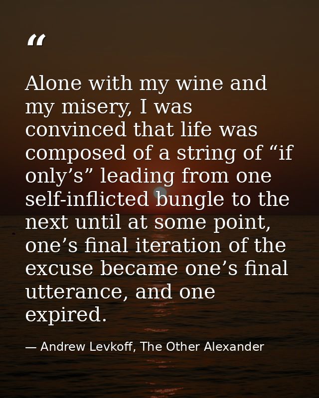 Alone with my wine and my misery, I was convinced that life was composed of a string of “if only’s” leading from one sel — Andrew Levkoff, The Other Alexander