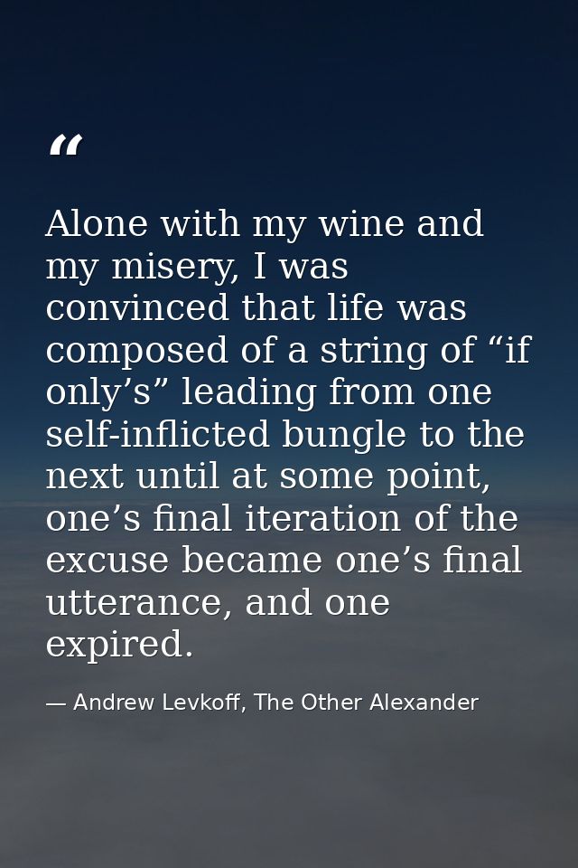 Alone with my wine and my misery, I was convinced that life was composed of a string of “if only’s” leading from one sel — Andrew Levkoff, The Other Alexander