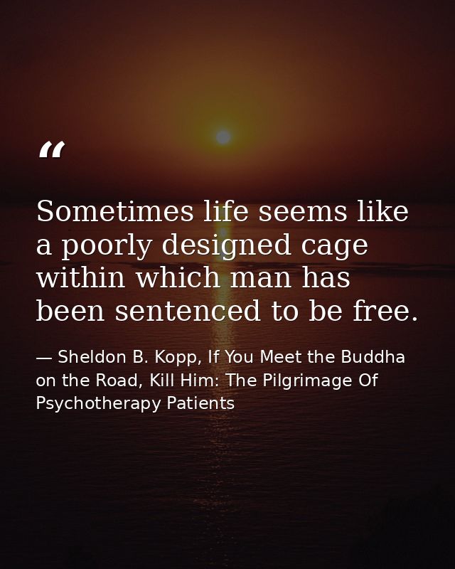 Sometimes life seems like a poorly designed cage within which man has been sentenced to be free. — Sheldon B. Kopp, If You Meet the Buddha on the Road, Kill Him: The Pilgrimage Of Psychotherapy Patients