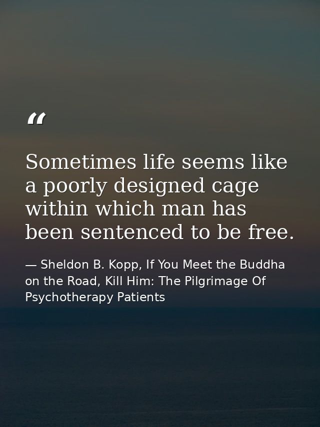 Sometimes life seems like a poorly designed cage within which man has been sentenced to be free. — Sheldon B. Kopp, If You Meet the Buddha on the Road, Kill Him: The Pilgrimage Of Psychotherapy Patients