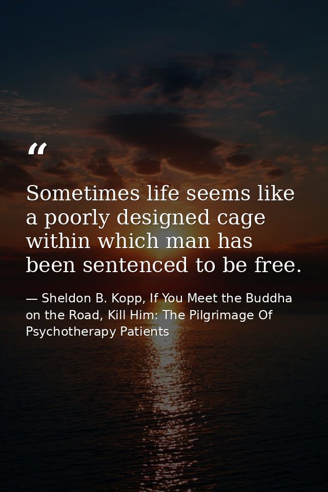 Sometimes life seems like a poorly designed cage within which man has been sentenced to be free. — Sheldon B. Kopp, If You Meet the Buddha on the Road, Kill Him: The Pilgrimage Of Psychotherapy Patients