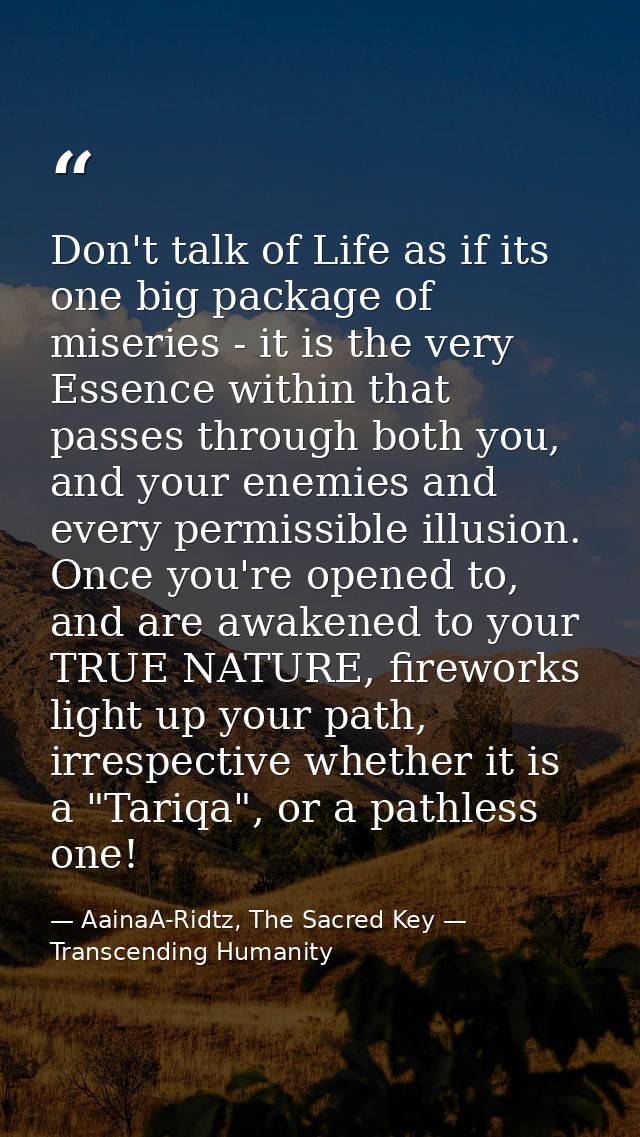 Don't talk of Life as if its one big package of miseries - it is the very Essence within that passes through both you, a — AainaA-Ridtz, The Sacred Key — Transcending Humanity
