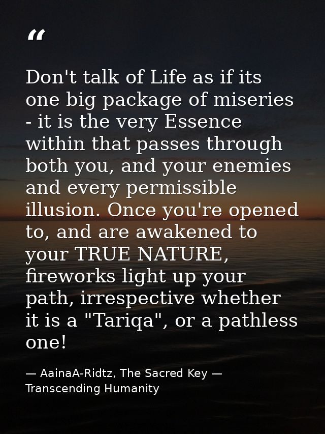 Don't talk of Life as if its one big package of miseries - it is the very Essence within that passes through both you, a — AainaA-Ridtz, The Sacred Key — Transcending Humanity